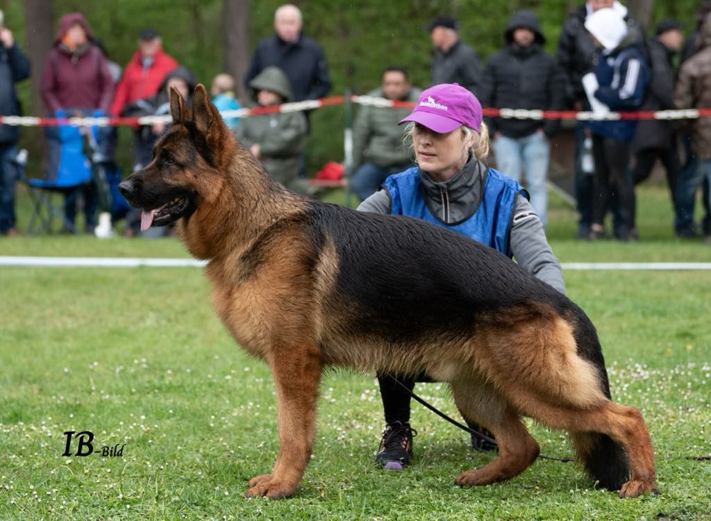 PHOTO-2025-04-23-13-56-27