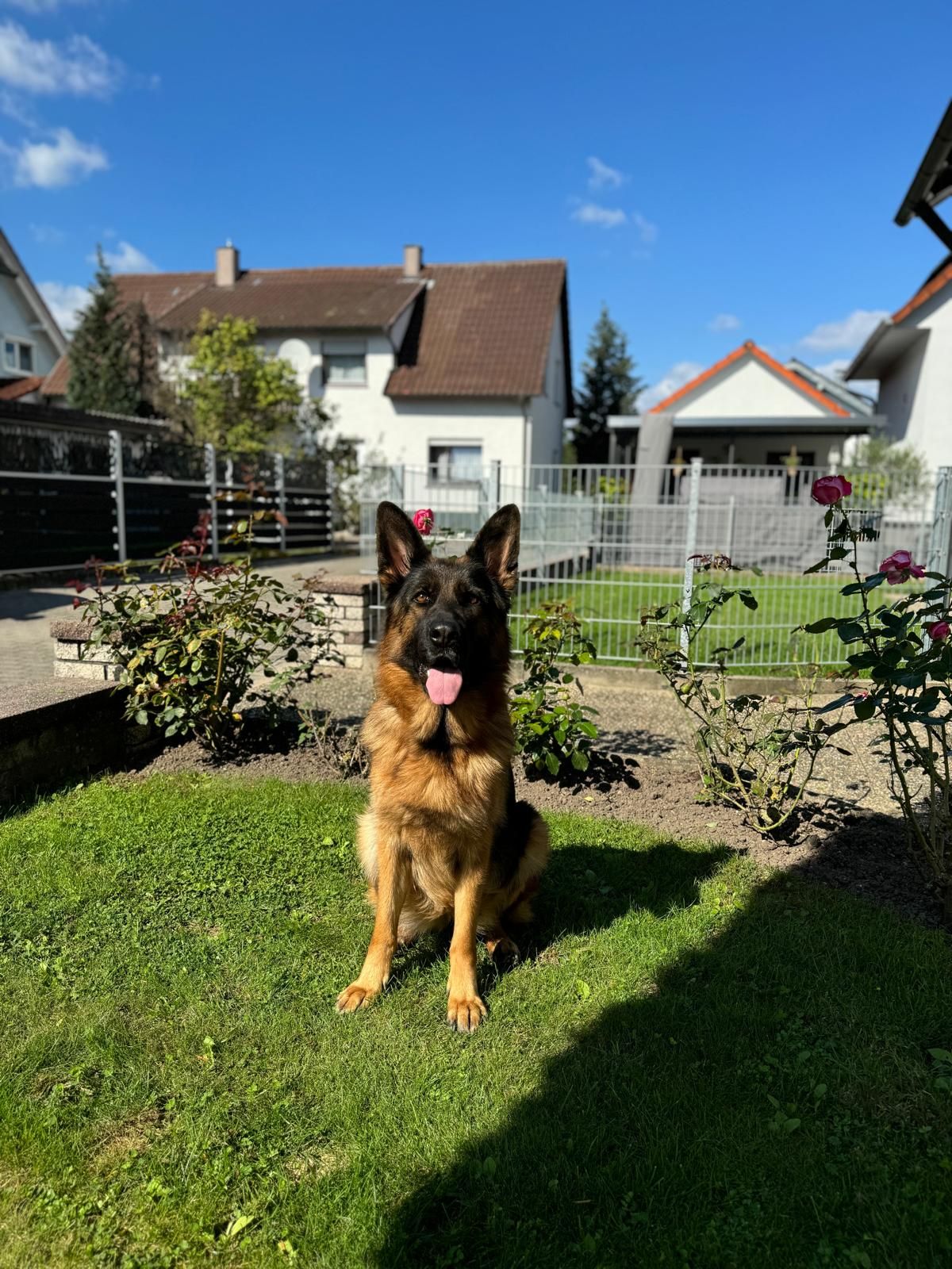 WhatsApp Bild 2025-03-22 um 22.21.10_ce2a66e9