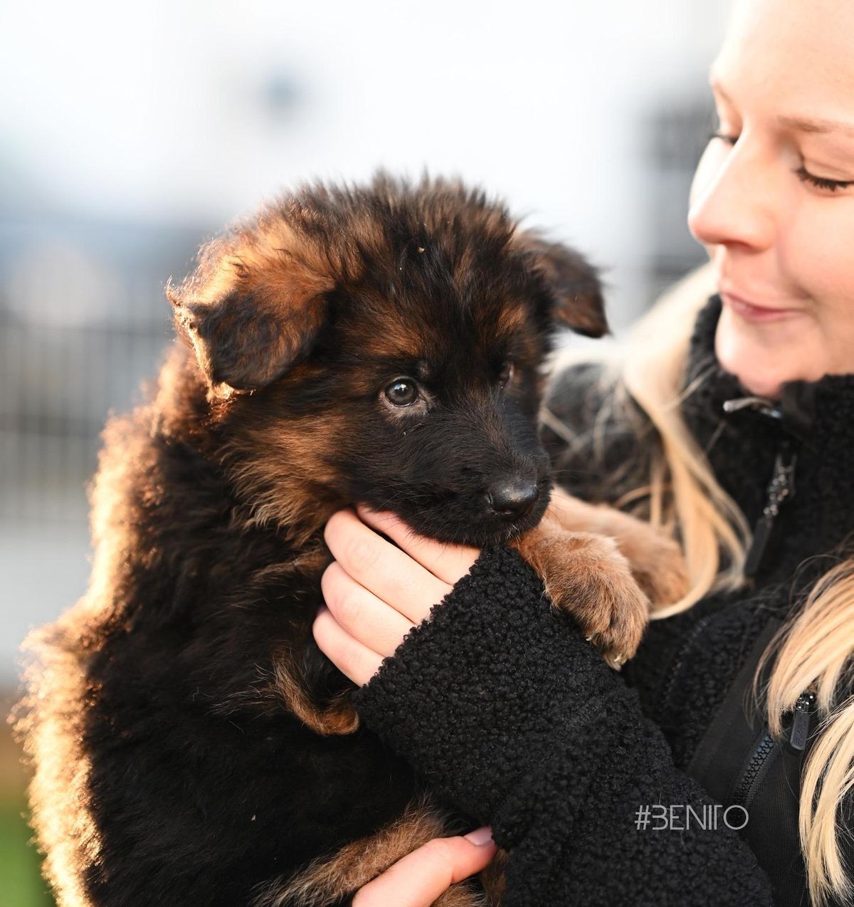 WhatsApp Bild 2025-03-22 um 22.22.15_7f7ce963