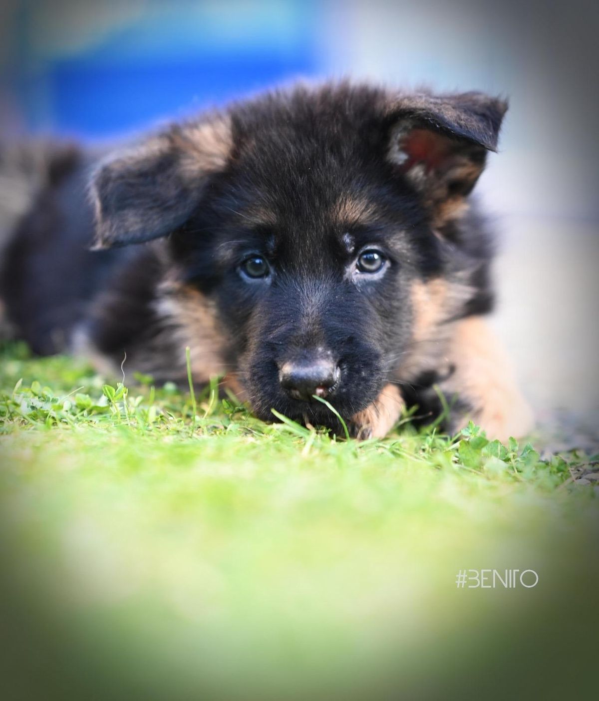 WhatsApp Bild 2025-03-22 um 22.22.15_c3ac0dd6