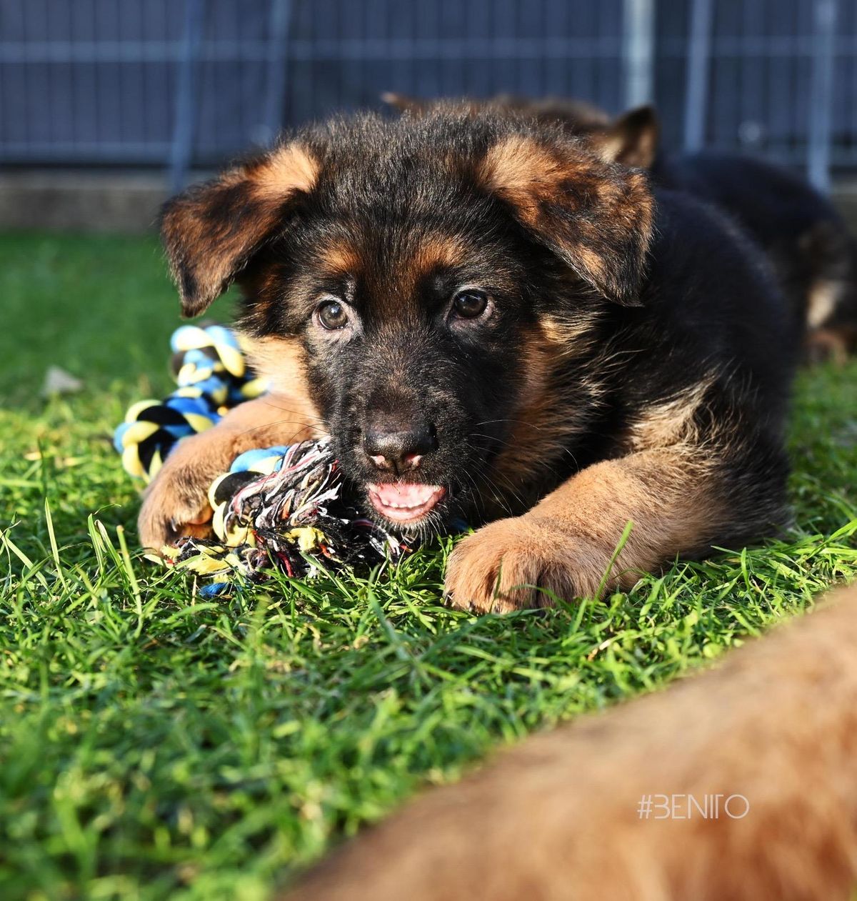 WhatsApp Bild 2025-03-22 um 22.22.15_e99f2f13