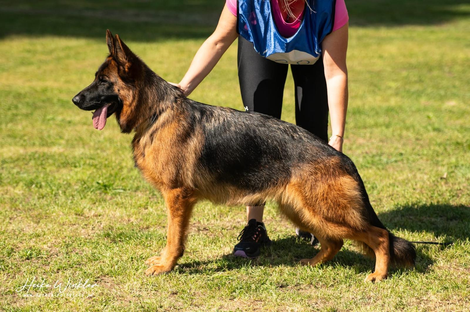 PHOTO-2025-08-26-23-12-55-Eila2